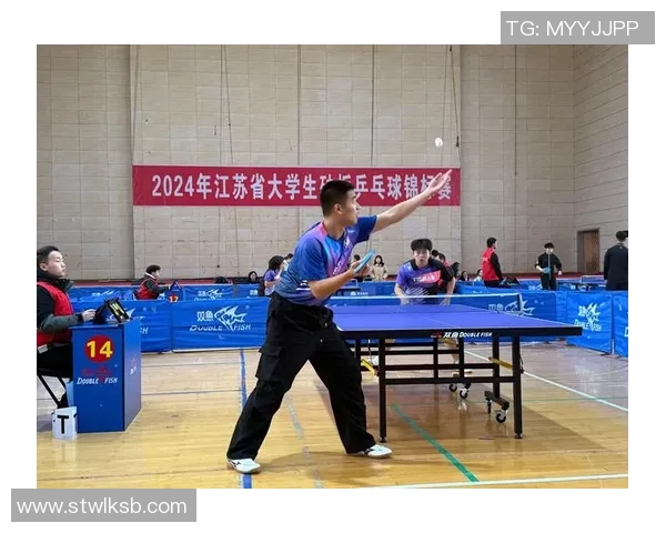 南京乒乓球队比赛经验分析及其对未来赛事表现的影响探讨