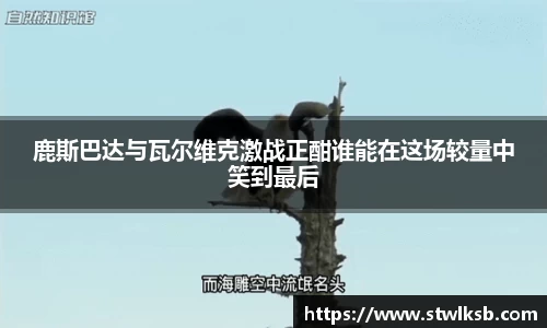 谈球吧