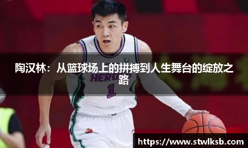 陶汉林：从篮球场上的拼搏到人生舞台的绽放之路
